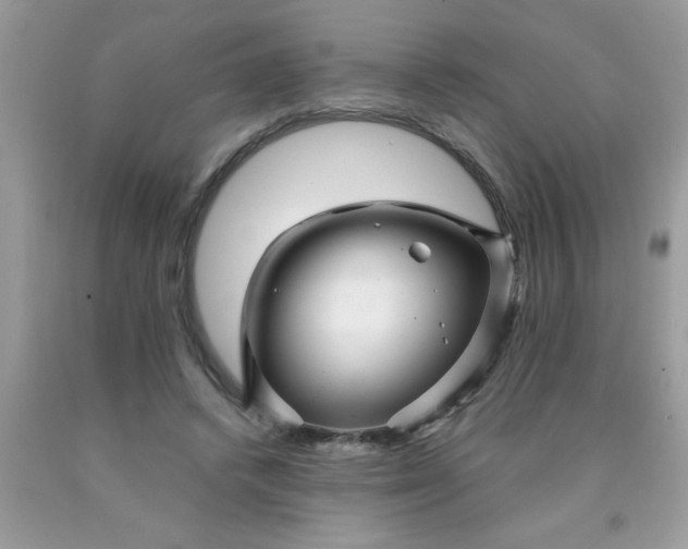 X0000090480448200707272322
