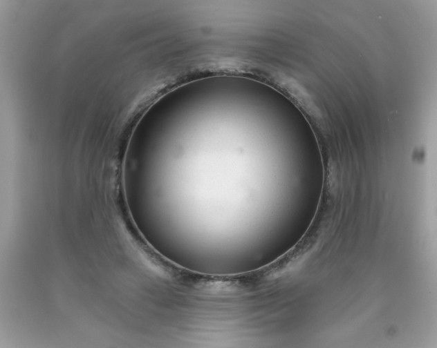 X0000090480449200707272322