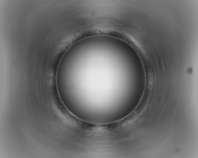 X0000090480451200707272322