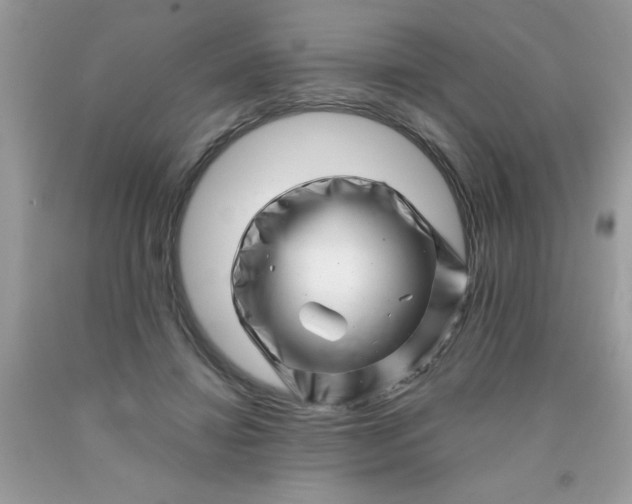 X0000090480452200707272322