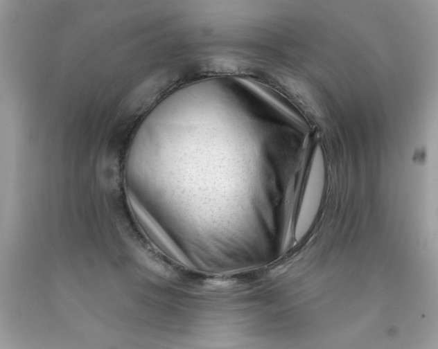 X0000090480457200707272322