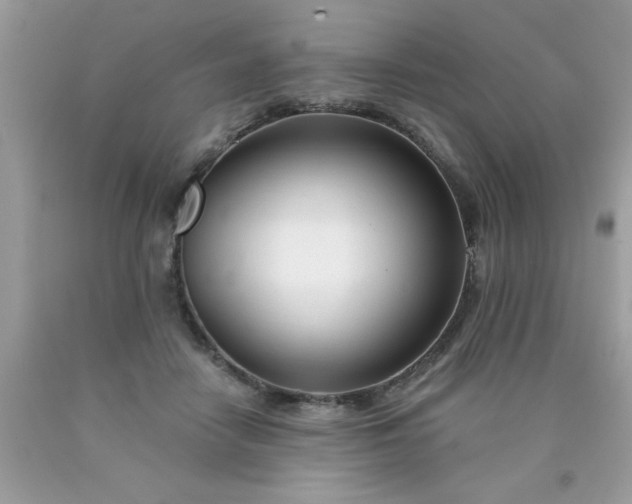 X0000090480458200707272322