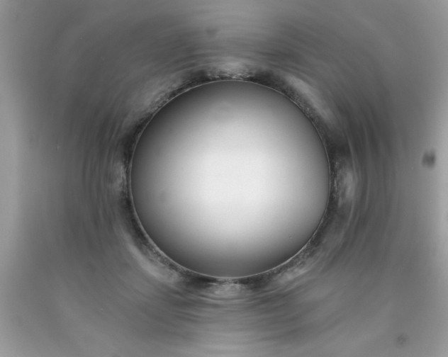 X0000090480459200707272322