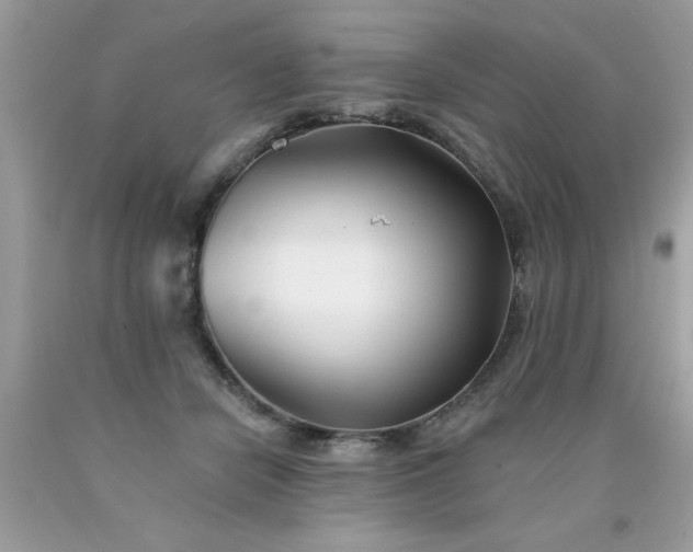 X0000090480462200707272322