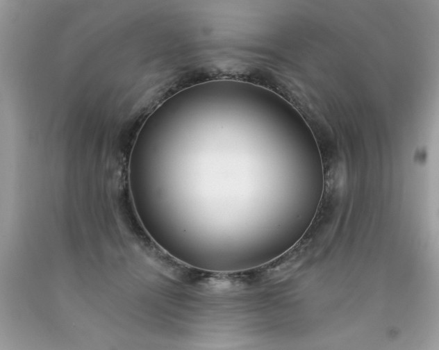 X0000090480464200707272322