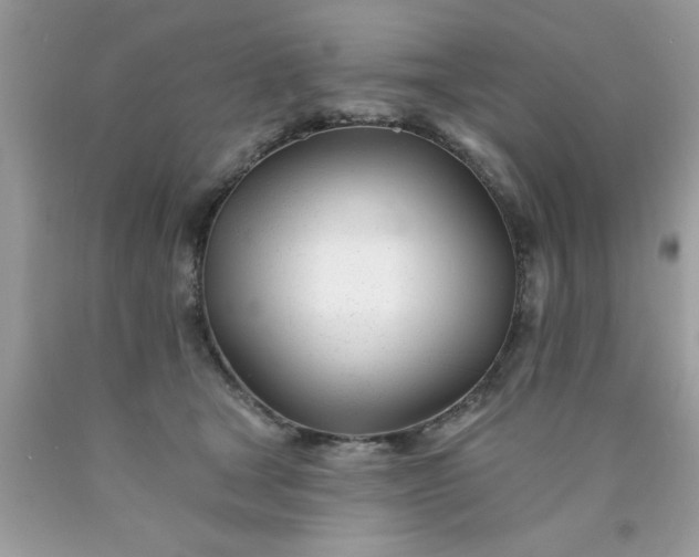 X0000090480465200707272322