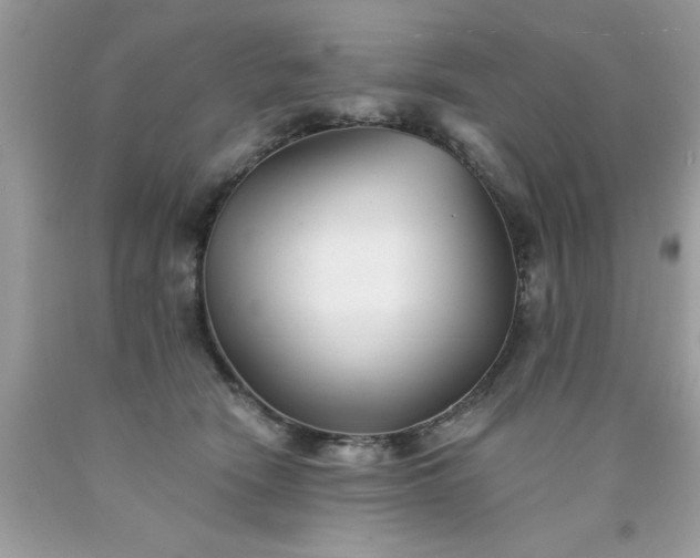 X0000090480466200707272322