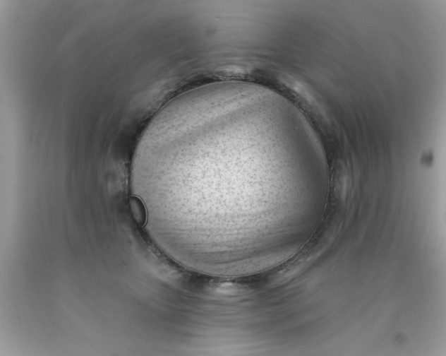 X0000090480467200707272322