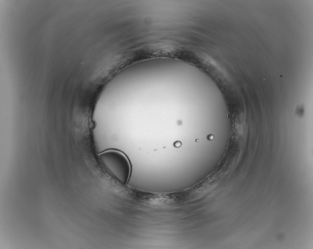 X0000090480468200707272322