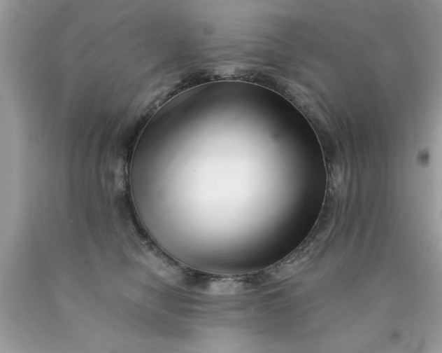 X0000090480470200707272322
