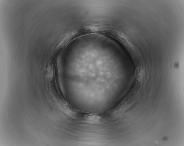 X0000090480471200707272322