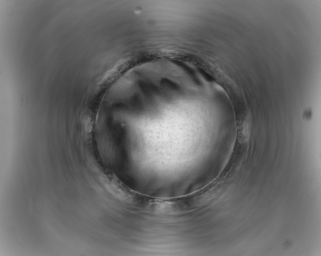 X0000090480472200707272322