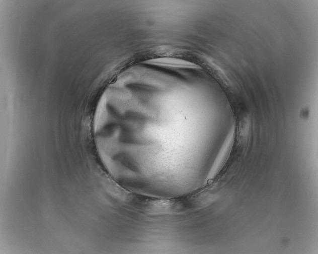 X0000090480473200707272322