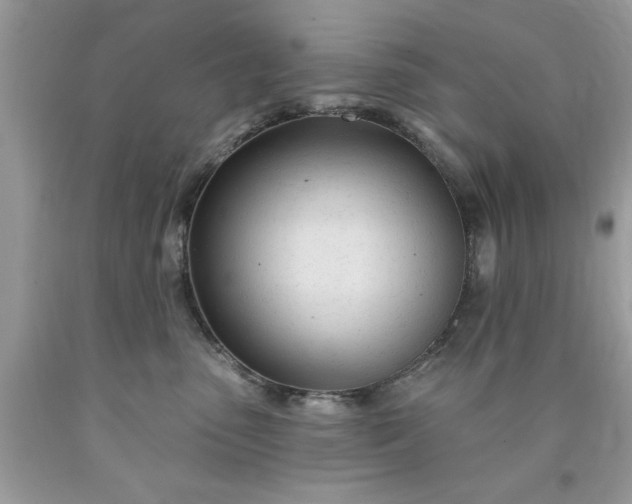 X0000090480475200707272322