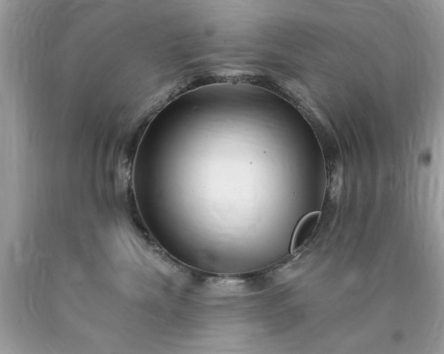 X0000090480476200707272322
