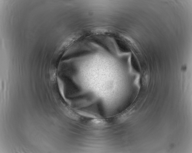 X0000090480477200707272323