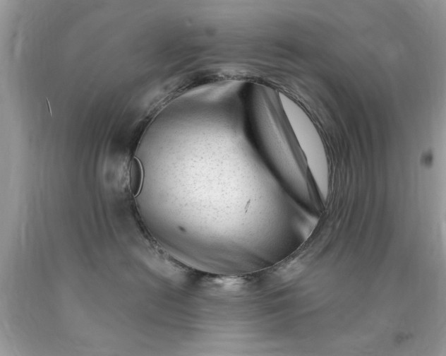 X0000090480478200707272323