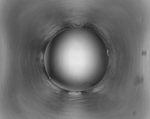 X0000090480480200707272323