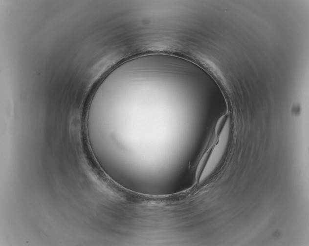X0000090480482200707272322