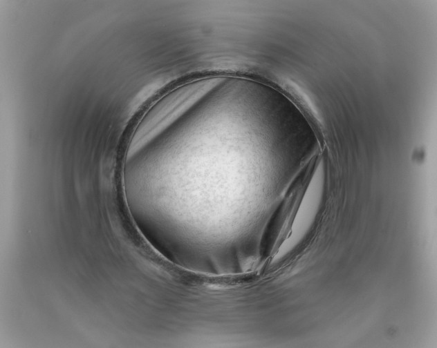 X0000090480483200707272322