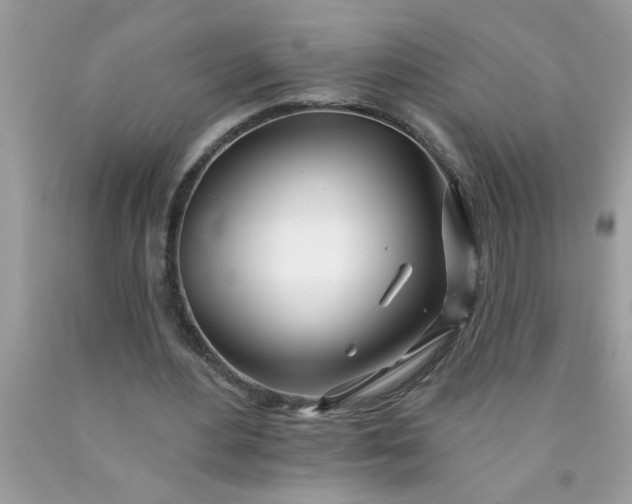 X0000090480484200707272322