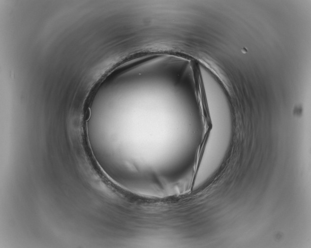 X0000090480485200707272322