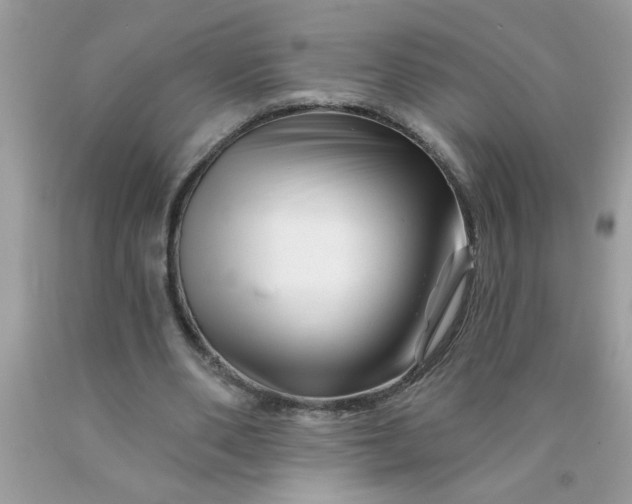 X0000090480486200707272322