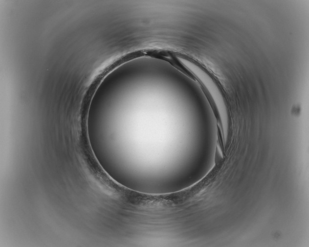 X0000090480488200707272322