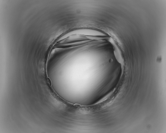 X0000090480489200707272322