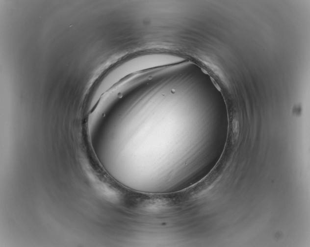 X0000090480492200707272322