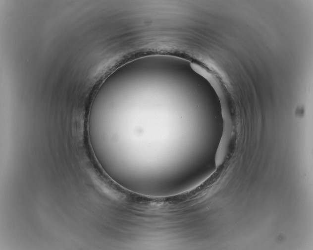 X0000090480493200707272322