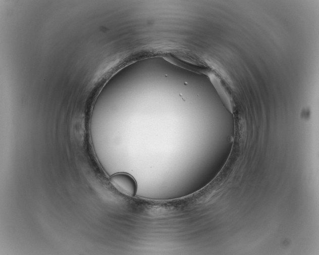 X0000090480494200707272322