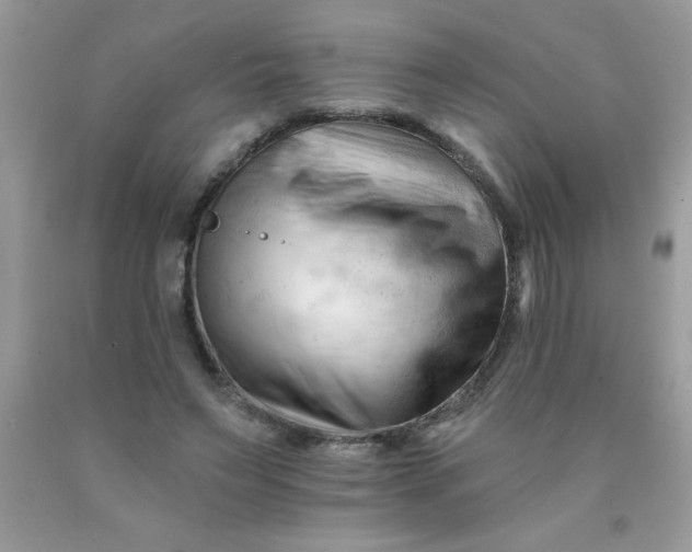 X0000090480495200707272322