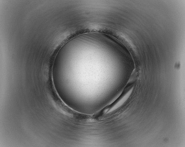 X0000090480496200707272322