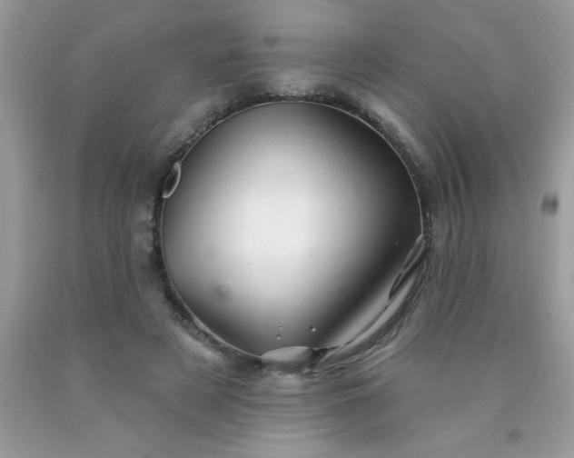 X0000090480497200707272322