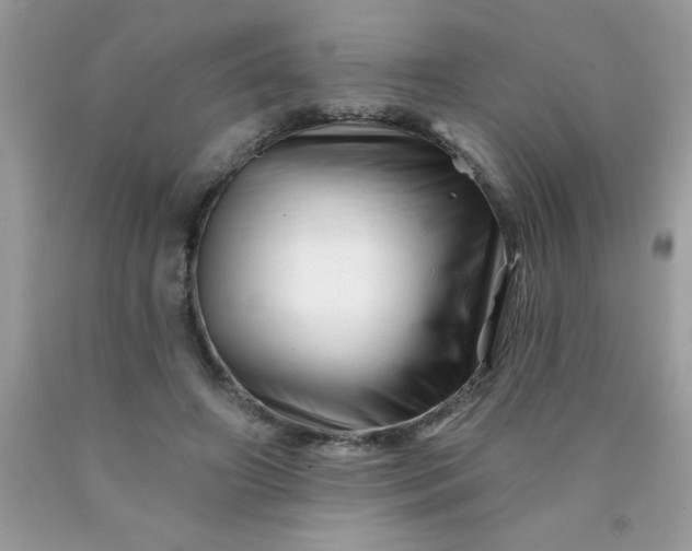 X0000090480498200707272322