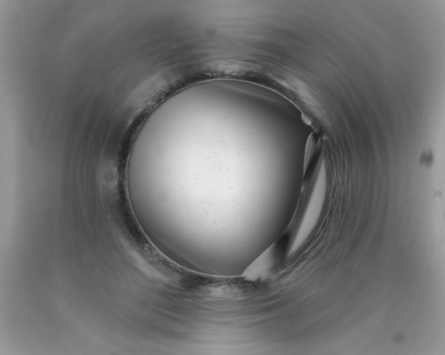 X0000090480500200707272322