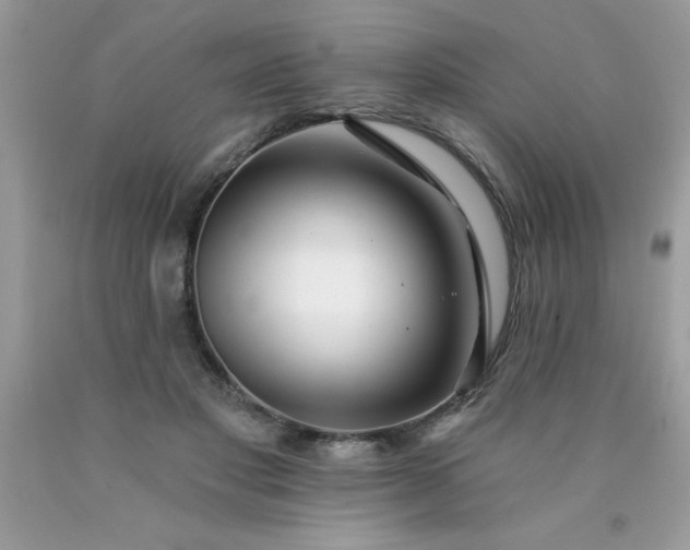 X0000090480501200707272322