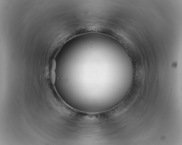 X0000090480502200707272322