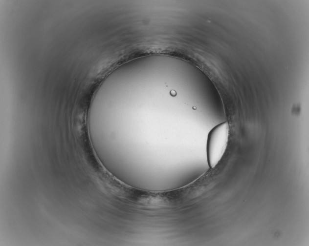 X0000090480503200707272322