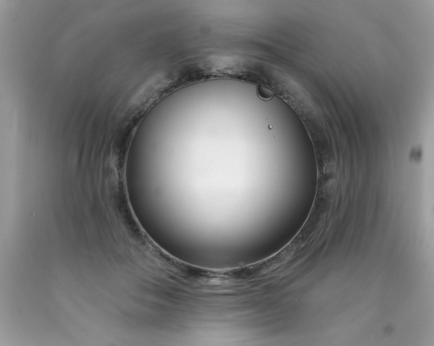 X0000090480506200707272322
