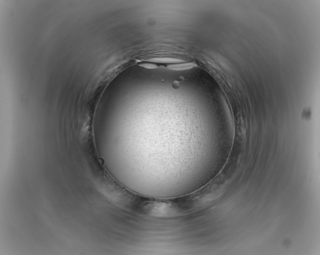 X0000090480507200707272322
