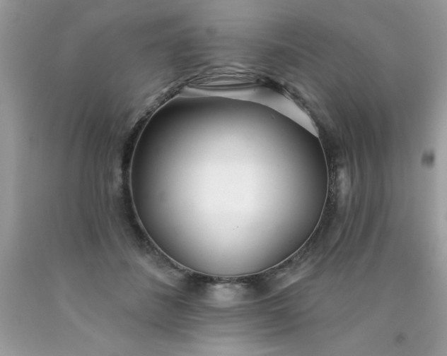 X0000090480508200707272322