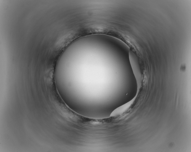 X0000090480509200707272322