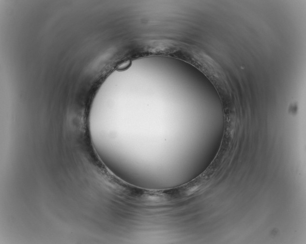 X0000090480510200707272322