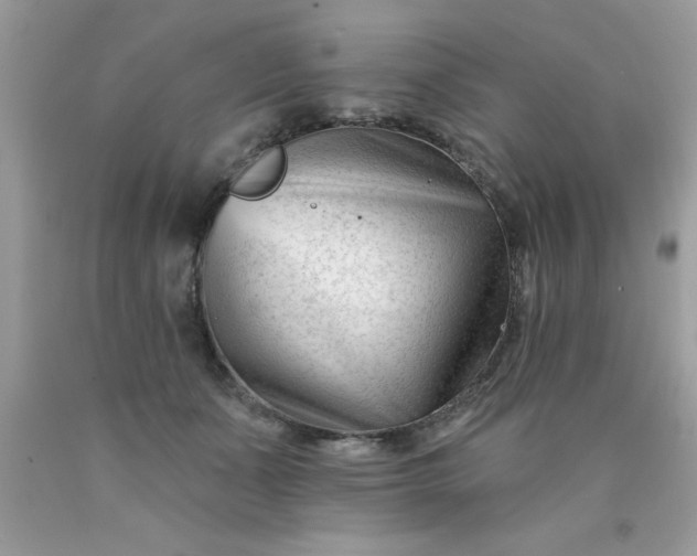 X0000090480511200707272322