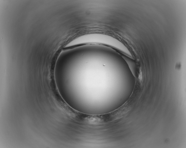 X0000090480512200707272322