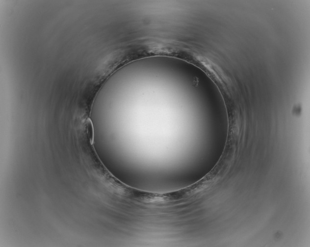 X0000090480513200707272322