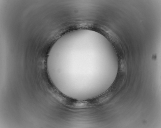 X0000090480514200707272322