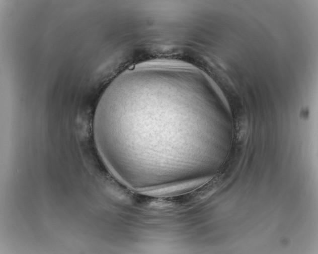 X0000090480515200707272322